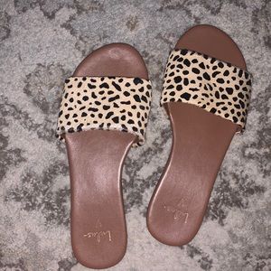 Cheetah print slides